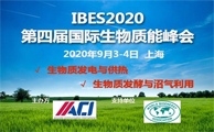 2020 4th International Biomass Energy Summit (IBES2020)