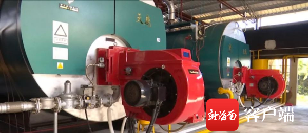 Wenchang's 8 enterprise boilers "coal to gas" increase revenue and environmental protection