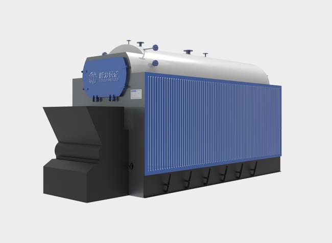 DZL Biomass Fuel Hot Water Boiler
