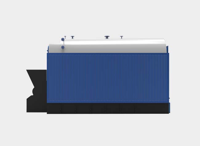 DZL Biomass Fuel Steam Boiler